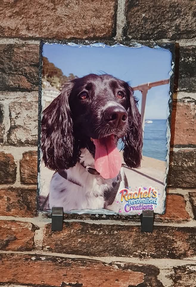 Photoslates