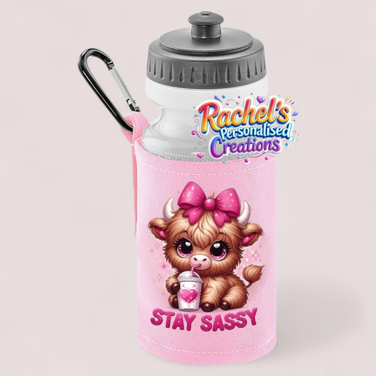 500ml water bottle and holder