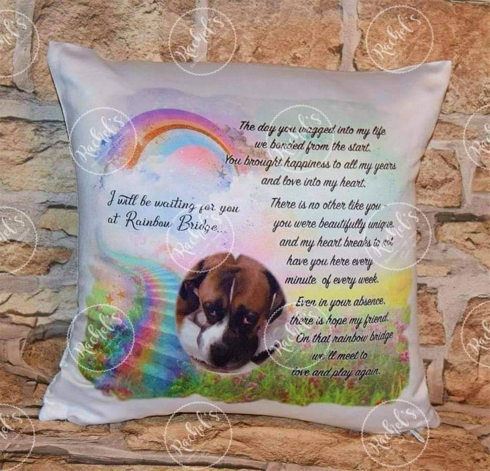 Pet memorial cushion